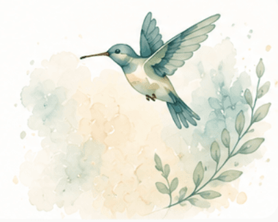 colibri contact