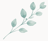 eucalyptus nos formations