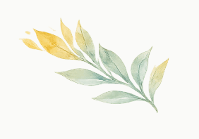 feuille formation sante mentale