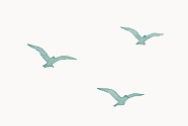 Formations oiseaux nos formations